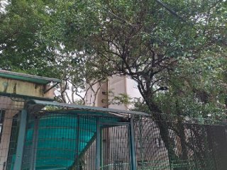 Imagem do imóvel AP39209