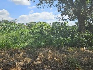 Imagem do imóvel TE17166