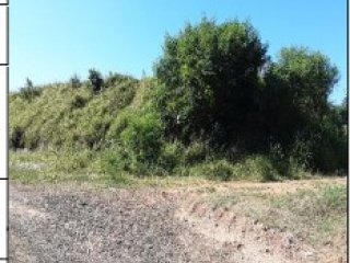 Imagem do imóvel TE25930