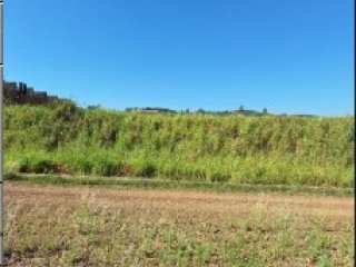 Imagem do imóvel TE96813