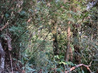 Imagem do imóvel TE83639