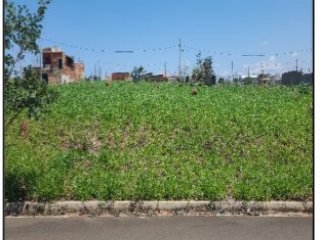 Imagem do imóvel TE99395