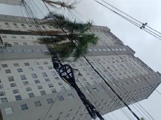 Imagem do imóvel AP86573