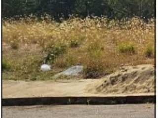 Imagem do imóvel TE92846