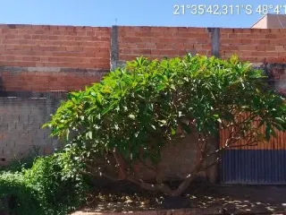 Imagem do imóvel CA97607