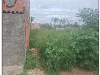 Imagem do imóvel TE10077