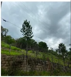 Imagem do imóvel TE14549