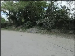 Imagem do imóvel TE59960