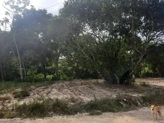 Imagem do imóvel TE57051