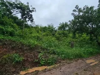 Imagem do imóvel AP05650